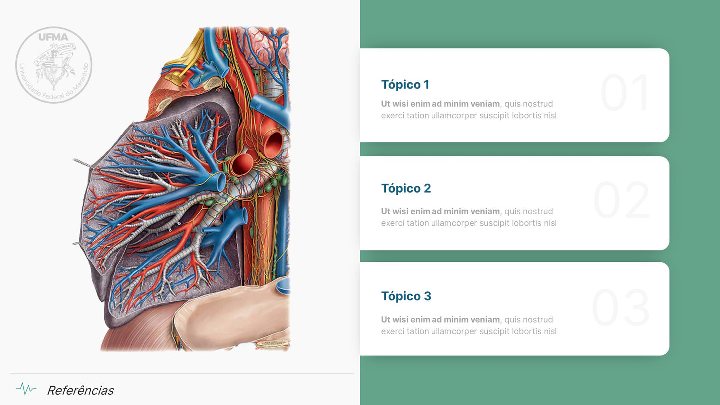 Template PowerPoint Anatomia — 38 Slides para Saúde e Medicina