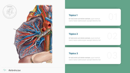 Template PowerPoint Anatomia — 38 Slides para Saúde e Medicina