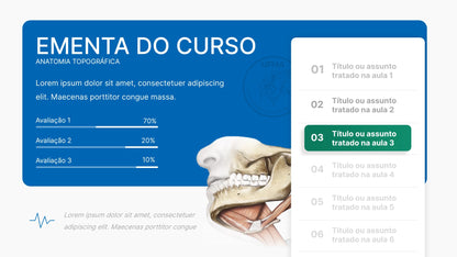 Template PowerPoint Anatomia — 38 Slides para Saúde e Medicina